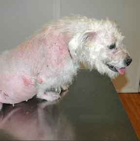 Picture for category Skin Care